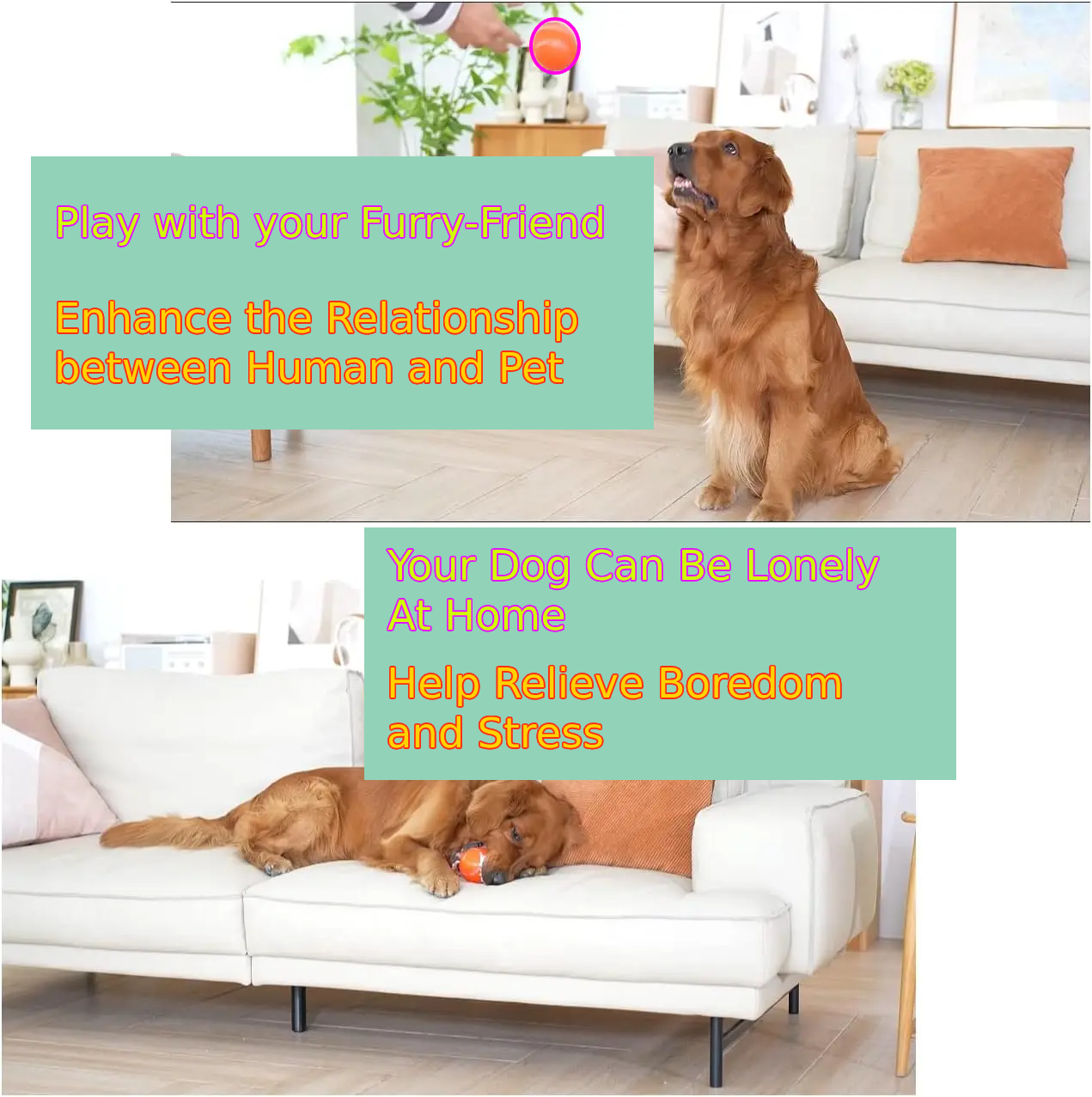 1. Interactive Dog Ball Toy - Automatic Pet Ball for Dogs - Automatic Ball with USB Charging & LED Lights