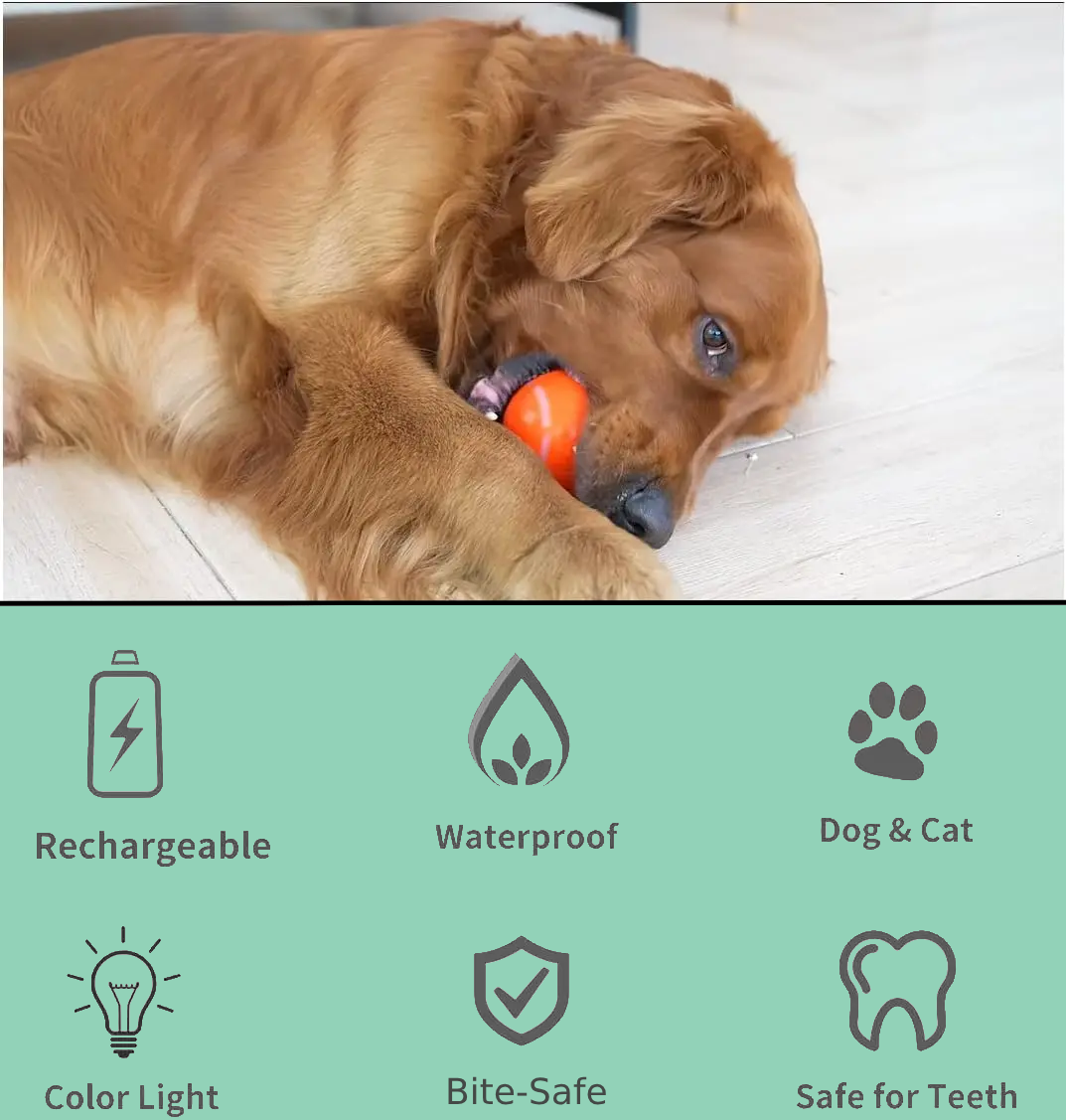 1. Interactive Dog Ball Toy - Automatic Pet Ball for Dogs - Automatic Ball with USB Charging & LED Lights