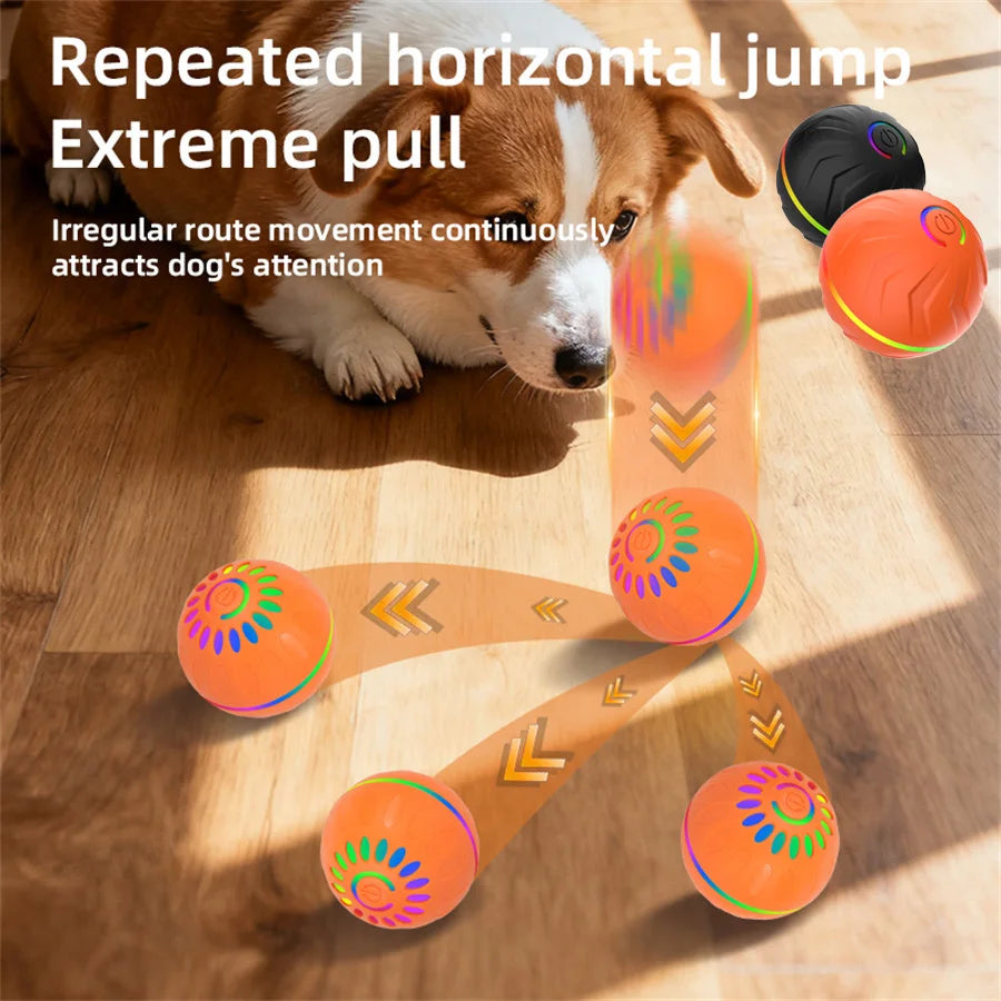 5. USB Automatic Moving Bouncing Ball for Puppy to Large Dog (Cats too!)