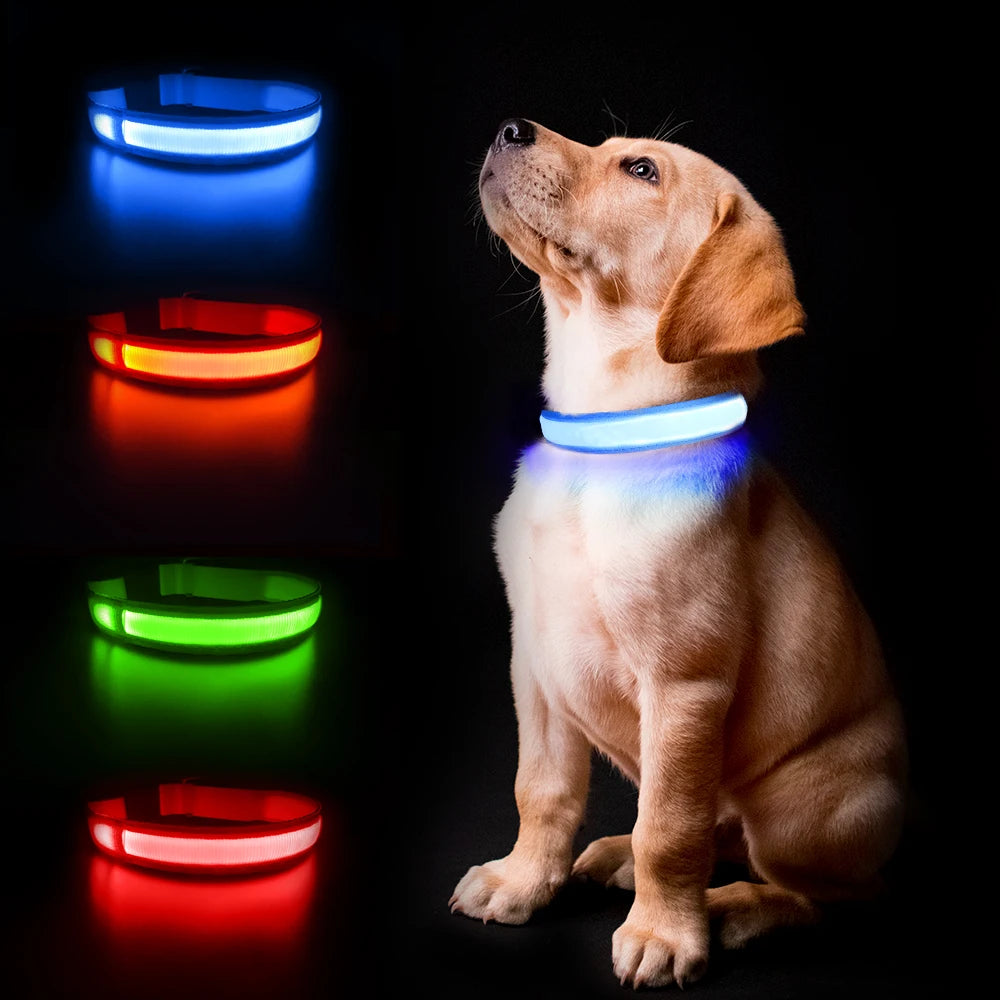 3. MASBRILL Dog Collar Luminous Pet Supplies Dog Collar Waterpoof Safety Collars