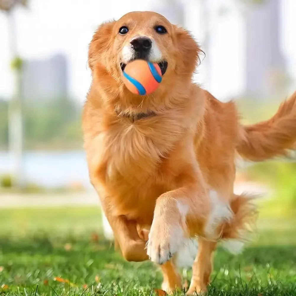 2. Ultra Bouncy, Super Squeaky Dog Ball - Play a Satisfying game of Fetch!