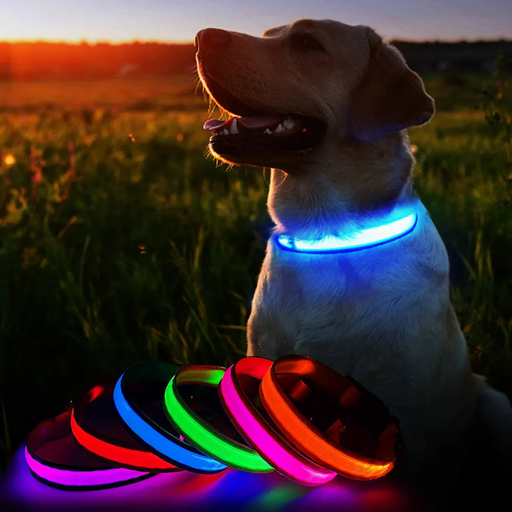 3. MASBRILL Dog Collar Luminous Pet Supplies Dog Collar Waterpoof Safety Collars