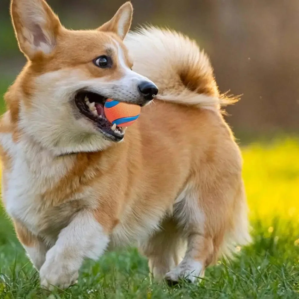 2. Ultra Bouncy, Super Squeaky Dog Ball - Play a Satisfying game of Fetch!