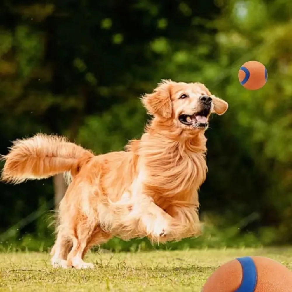 2. Ultra Bouncy, Super Squeaky Dog Ball - Play a Satisfying game of Fetch!