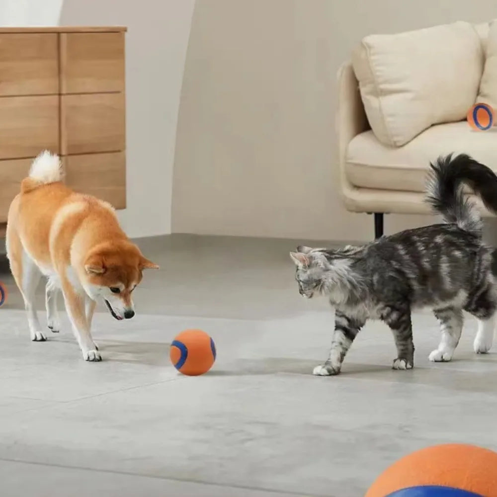2. Ultra Bouncy, Super Squeaky Dog Ball - Play a Satisfying game of Fetch!